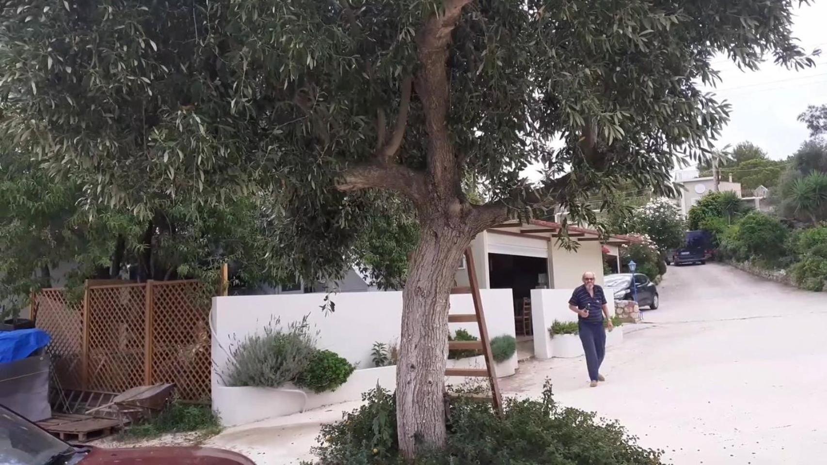 Tzogias Apartments Nonna Studio Λάσση Εξωτερικό φωτογραφία